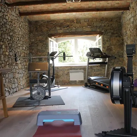 Chateau De Felix Saint-Félix-de-Pallières