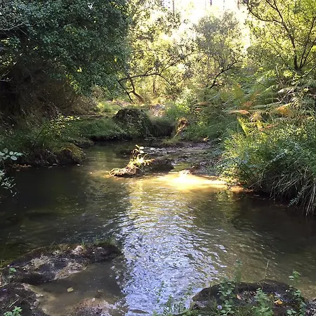 Chateau De Felix 住宿加早餐酒店