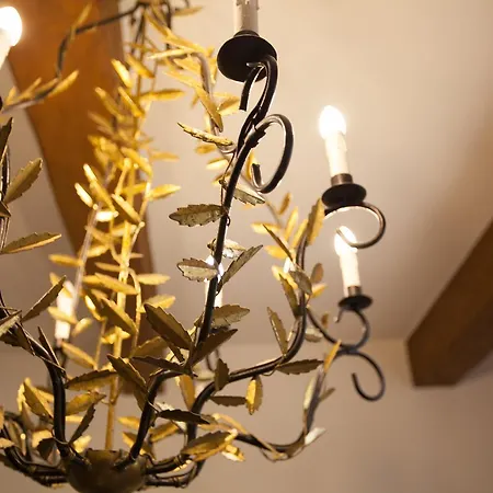 住宿加早餐酒店 Chateau De Felix Saint-Félix-de-Pallières